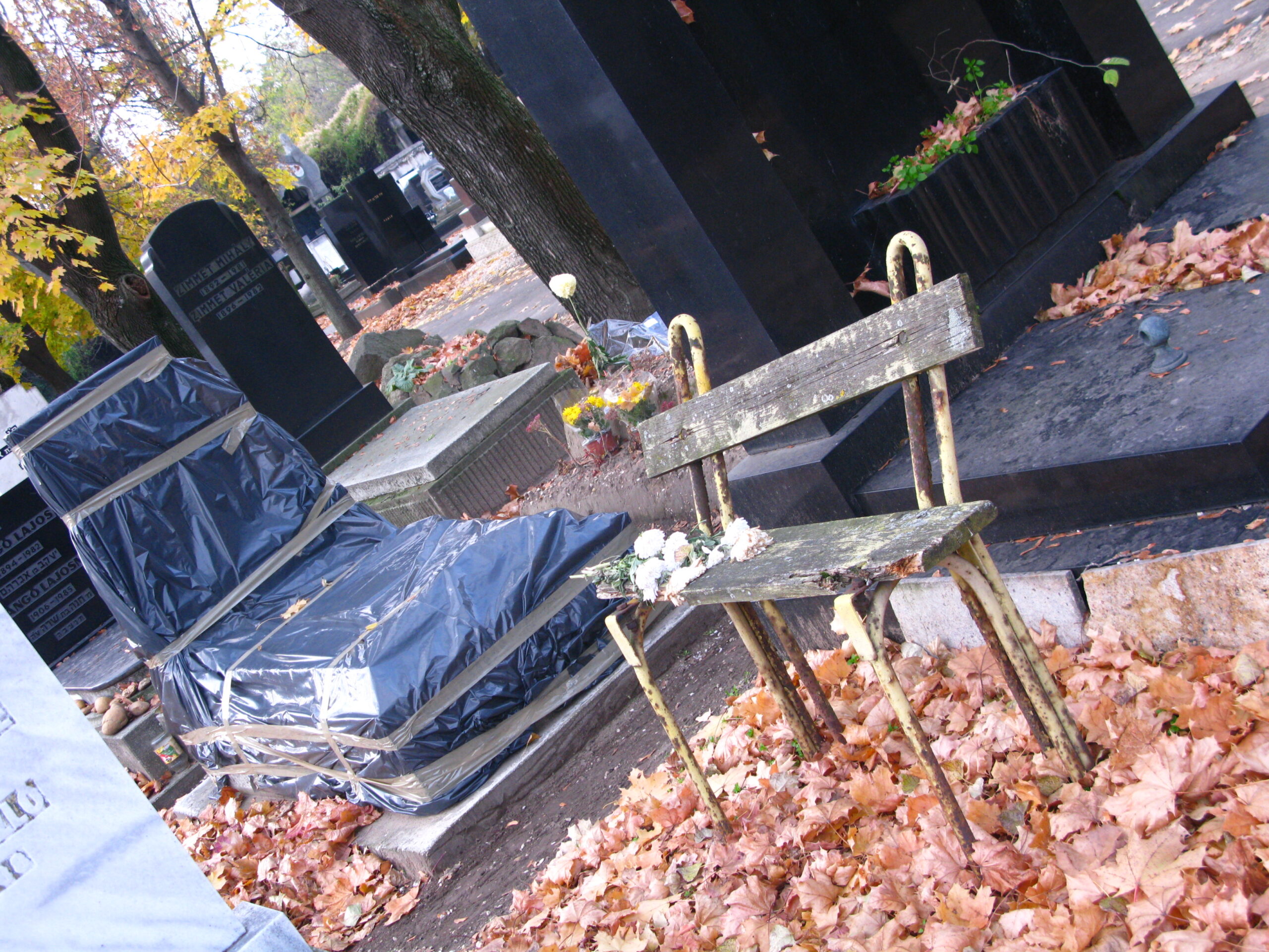 A grave situation in Budapest