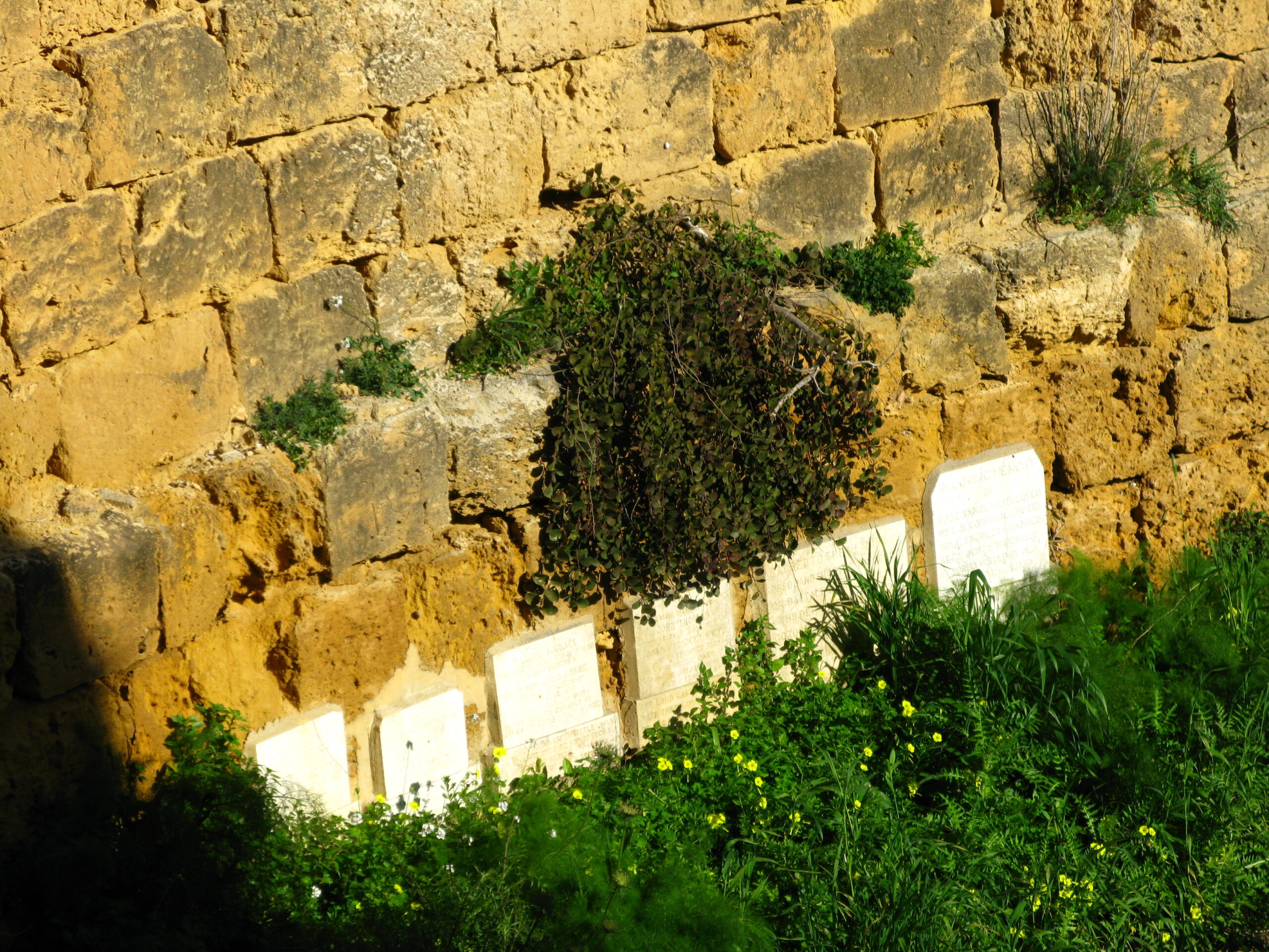 Who’s to blame in Gozo