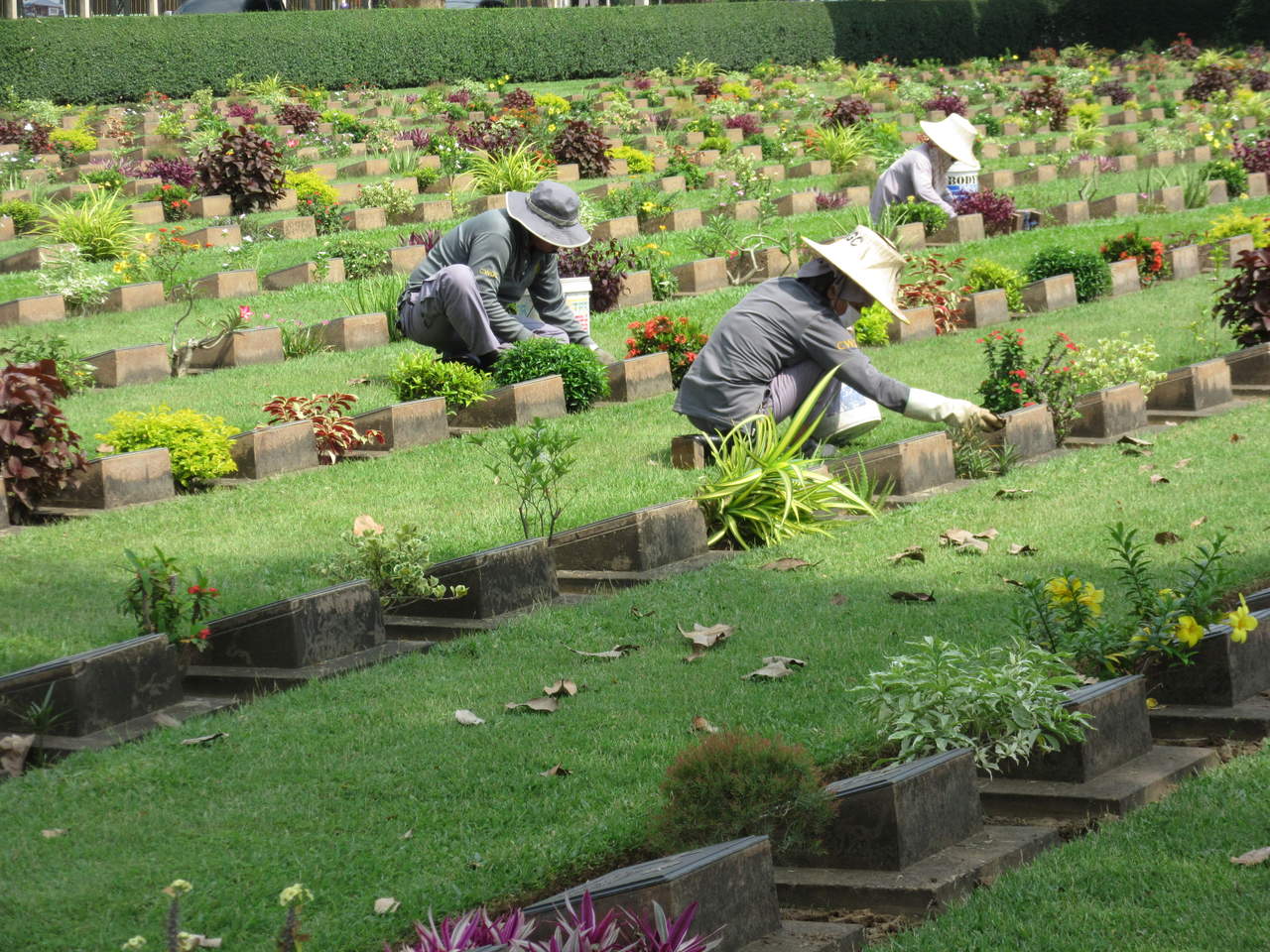 Kanchanaburi War Cemetery Thailand