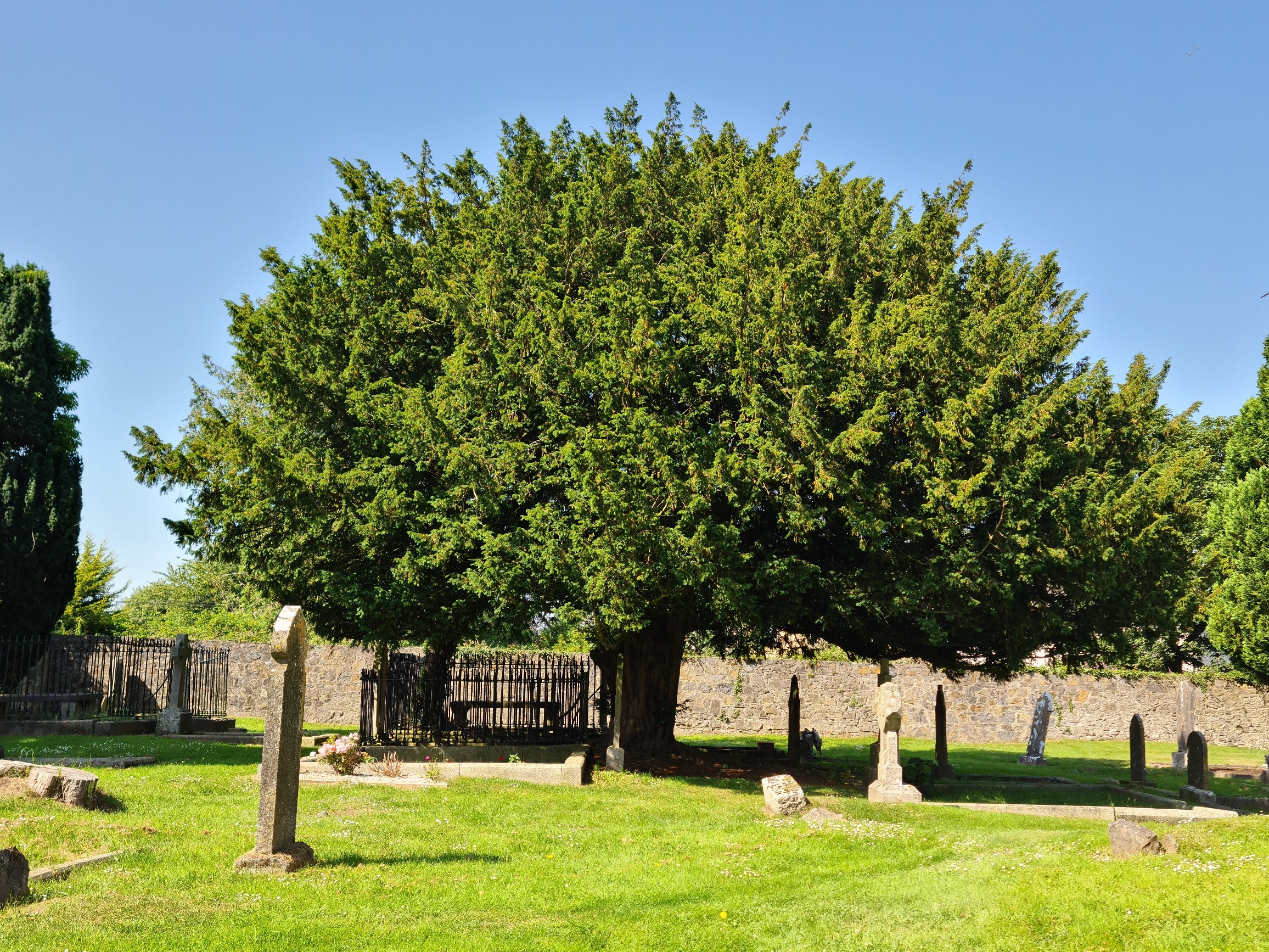 Tea Lane Graveyard, Celbridge, Co. Kildare, Ireland