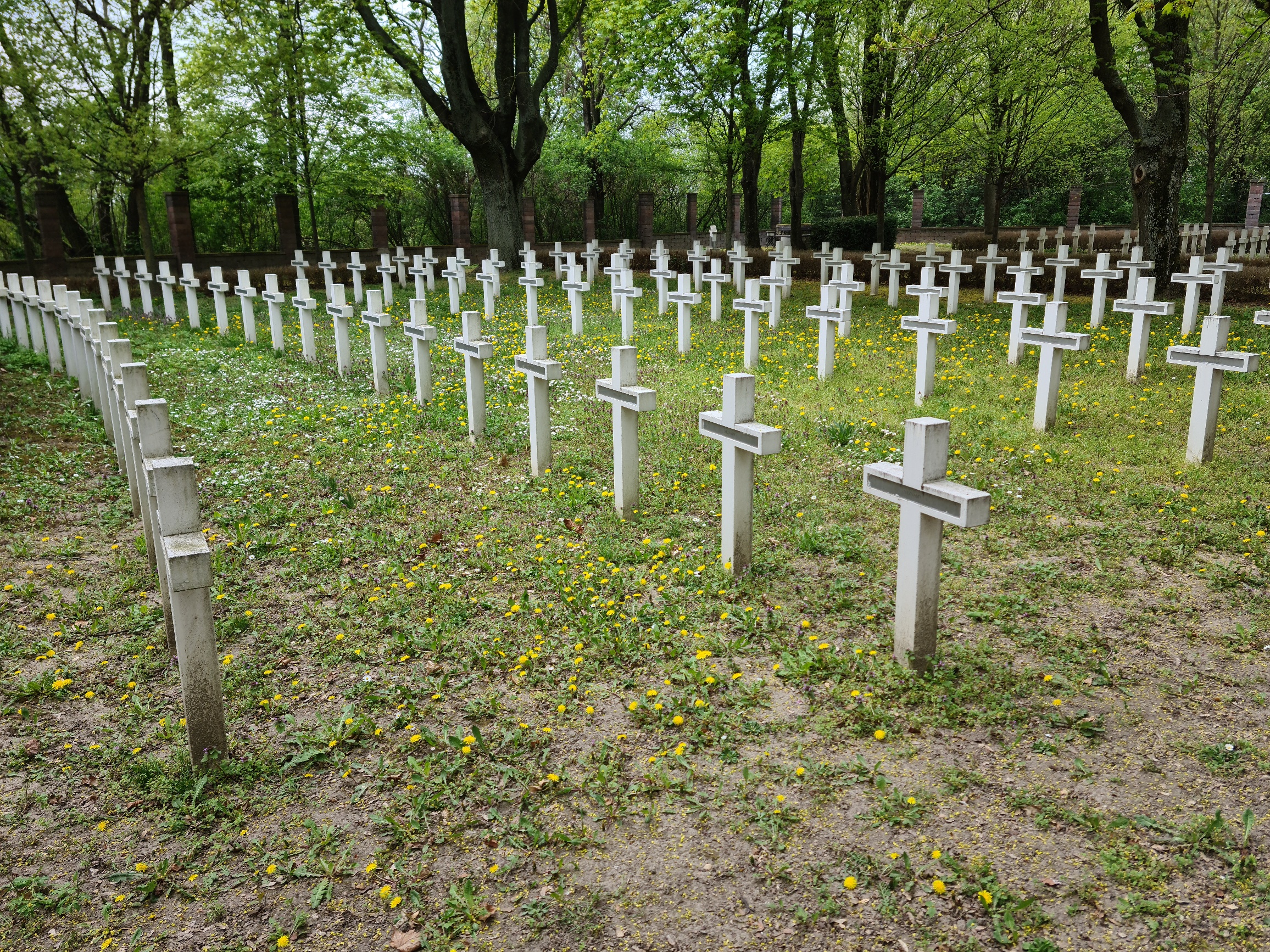 Military Cemetery, Petržalka, Slovakia