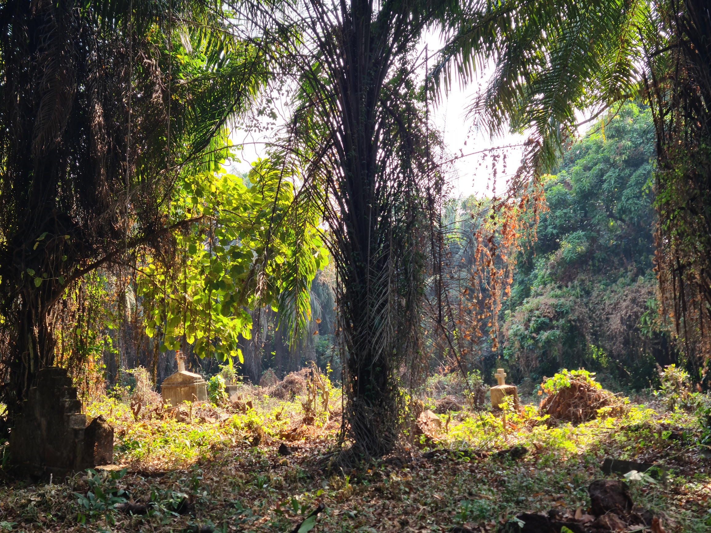 Dublin Cemetery, Banana Islands, Sierra Leone